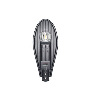 Đèn LED chiếu sáng đường D CSD02L/30w.DA-  Rạng Đông