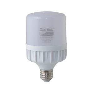 Đèn LED Bulb trụ LED TR100N1/30w E27 – LED SS- Rạng Đông